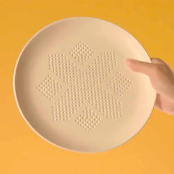 AbsorbPlate, l'assiette pour absorber l'excédent de graisse des plats
